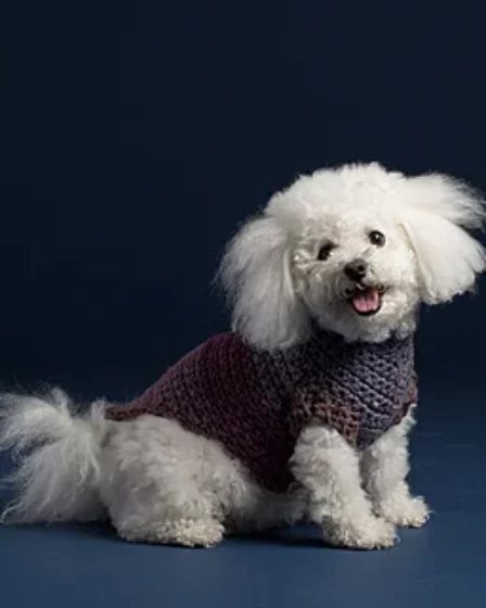 Suéter para perritos [Crochet facil] tejidos crochet