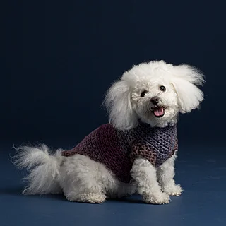 Suéter para perritos [Crochet facil] tejidos crochet