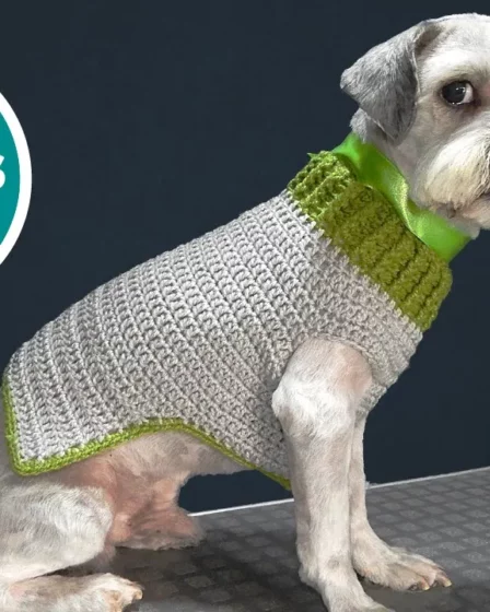 Saco para perros [Crochet Facil] tejidos crochet